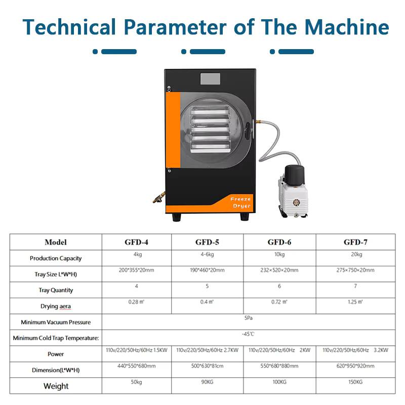 20Kg Automatic Gear Freeze Mac - Food Snacks In Usa avis et prix