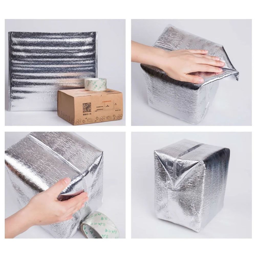 Aluminum Foil Cooler Bag Insul - Food Snacks Delivery avis et prix