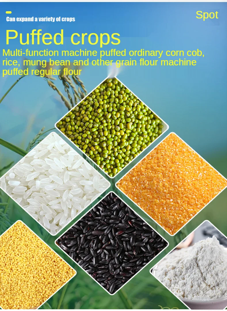 Hot Selling  Small Business Us - Quality Food Snacks avis et prix