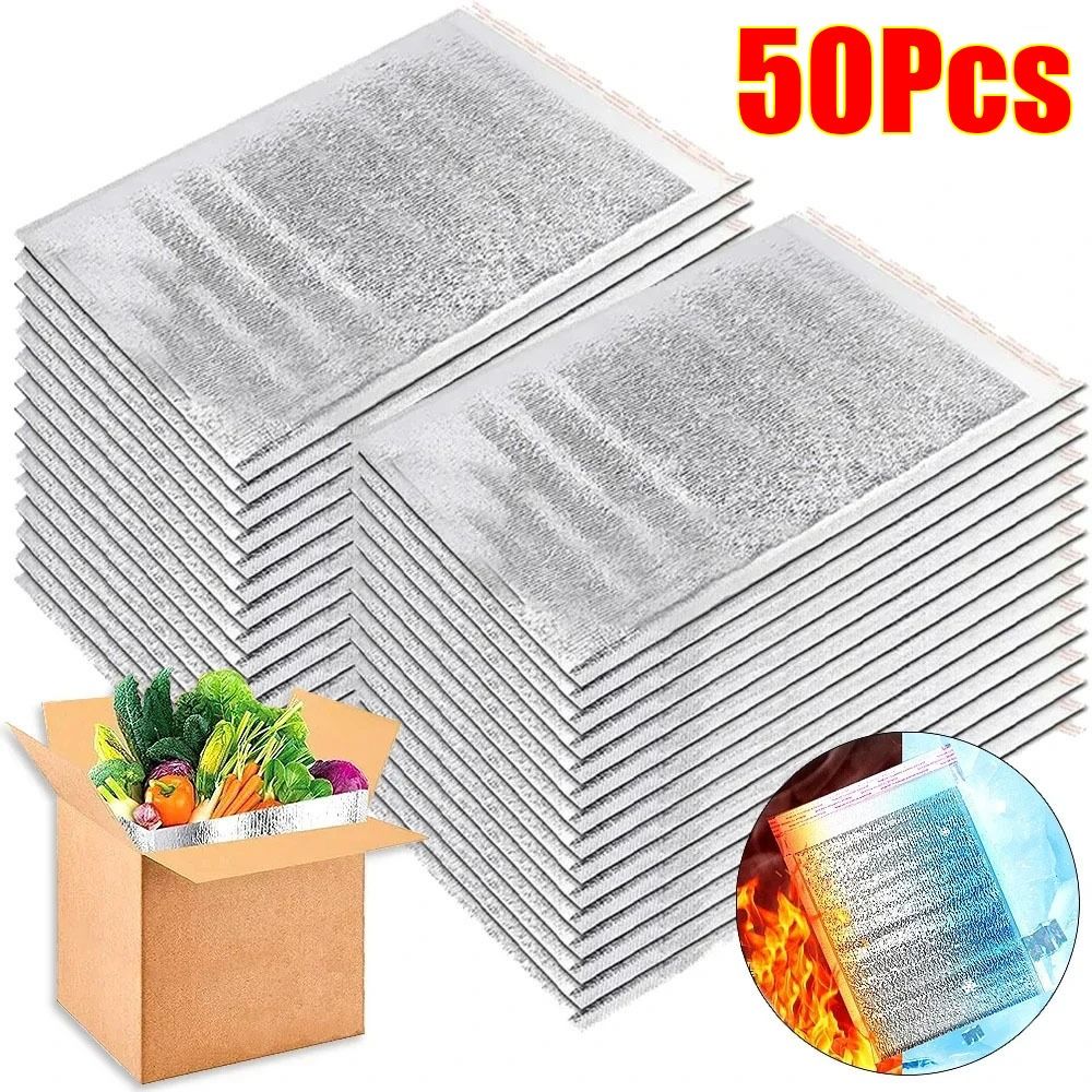 Aluminum Foil Cooler Bag Insul - Food Snacks Delivery avis et prix