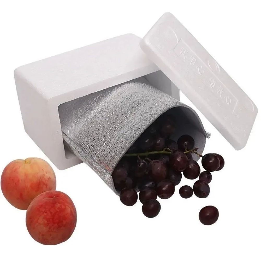 Aluminum Foil Cooler Bag Insul - Food Snacks Delivery avis et prix