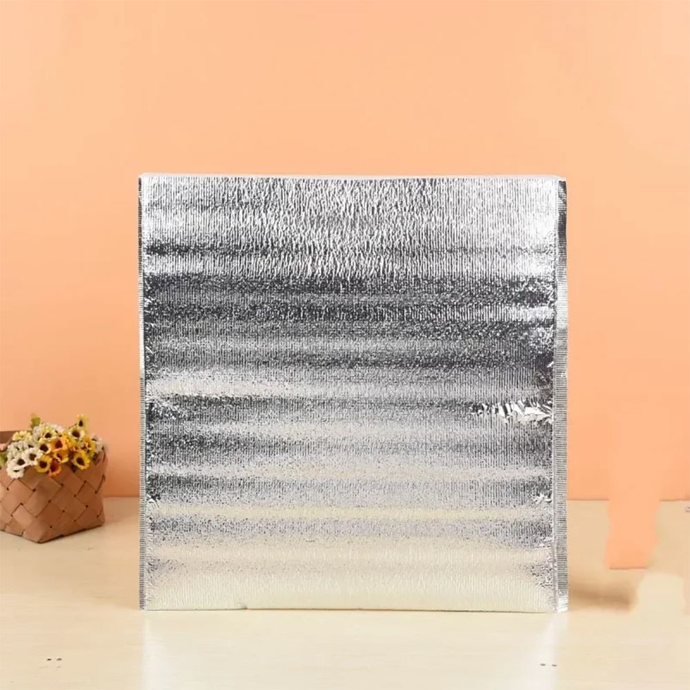 Aluminum Foil Cooler Bag Insul - Food Snacks Delivery avis et prix