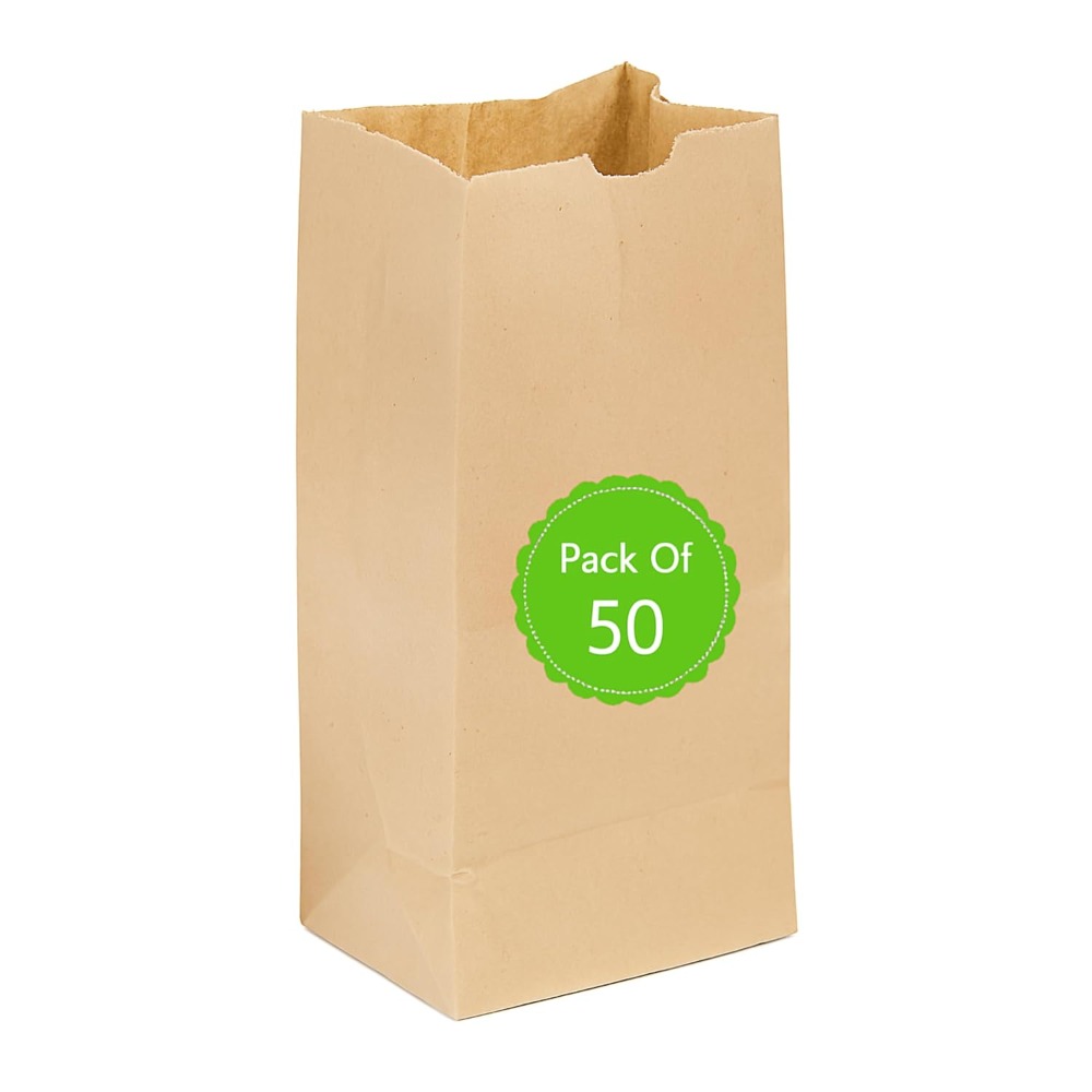 4lb Brown Paper Lunch Bags 50  - Food Snacks For Picnic avis et prix